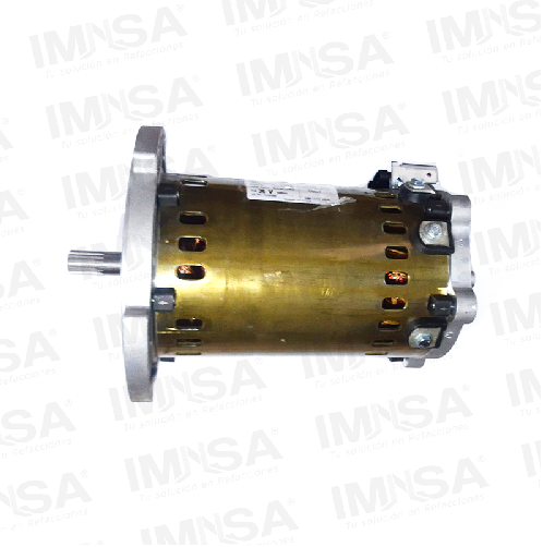 Motor de Traccion 36V