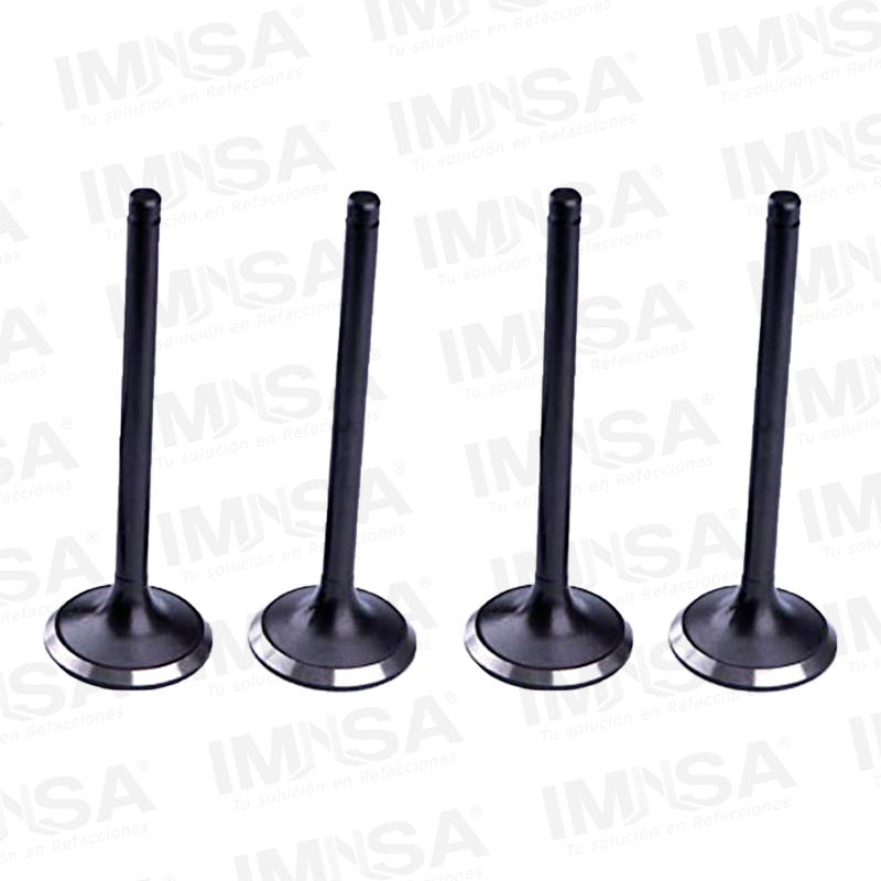Juego de 4 Valvulas de admision Nissan QD32